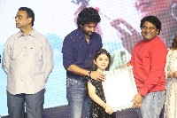 Hi Nanna Movie Success Celebrations Photos